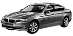BMW F10 U256F Fault Code